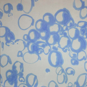 cRIqudivev2010N