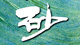 X|T[TCg